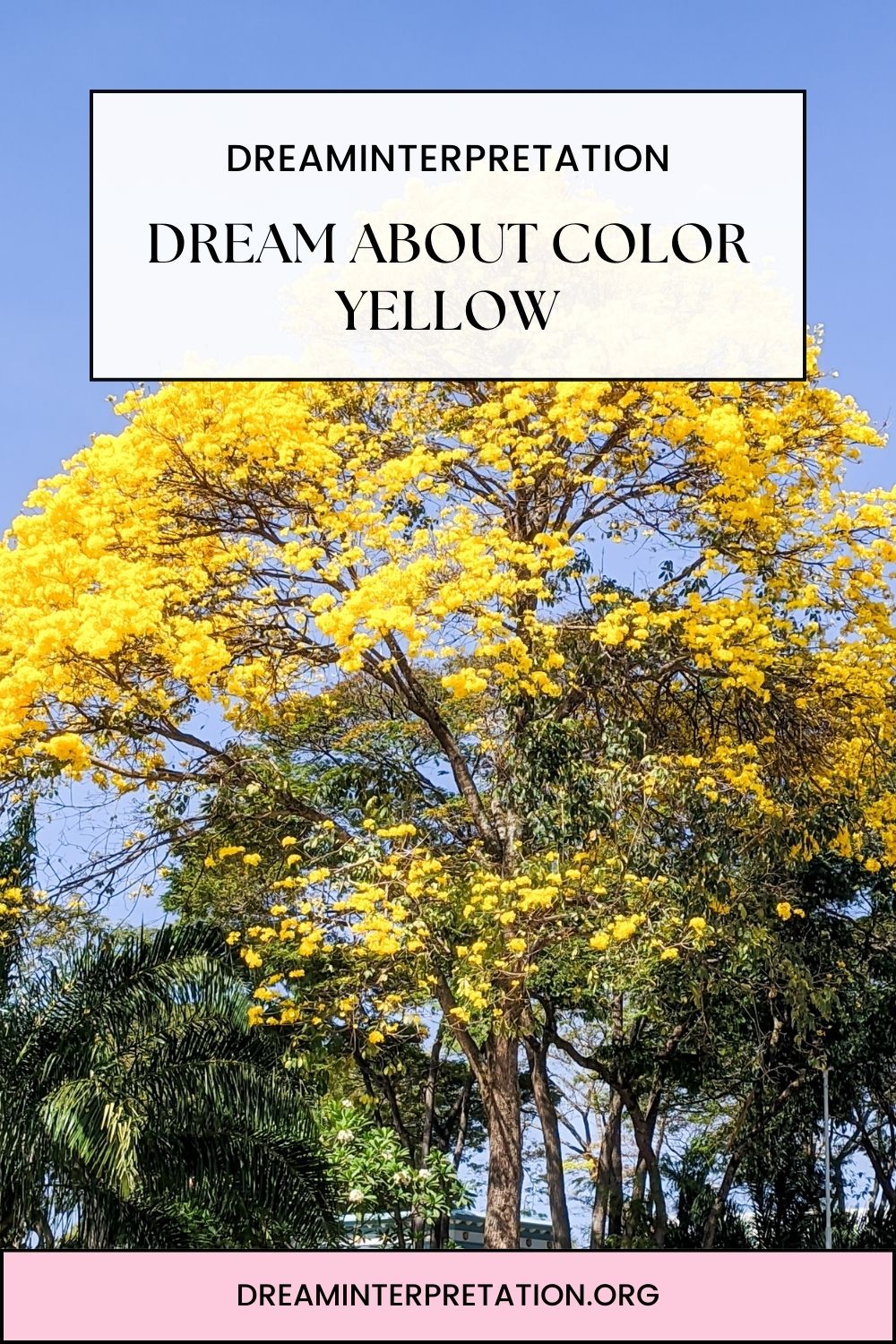 Dream About Color Yellow pin