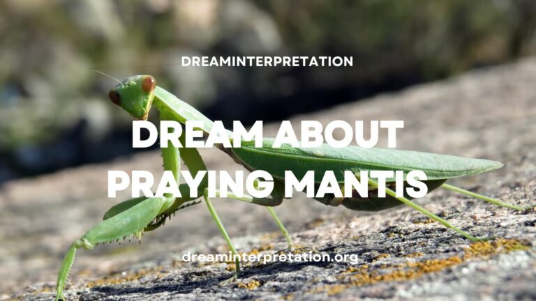 Dream About Praying Mantis? (Interpretation & Spiritual Meaning)