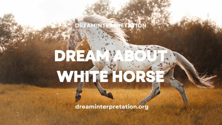 Dream About White Horse? (Interpretation & Spiritual Meaning)