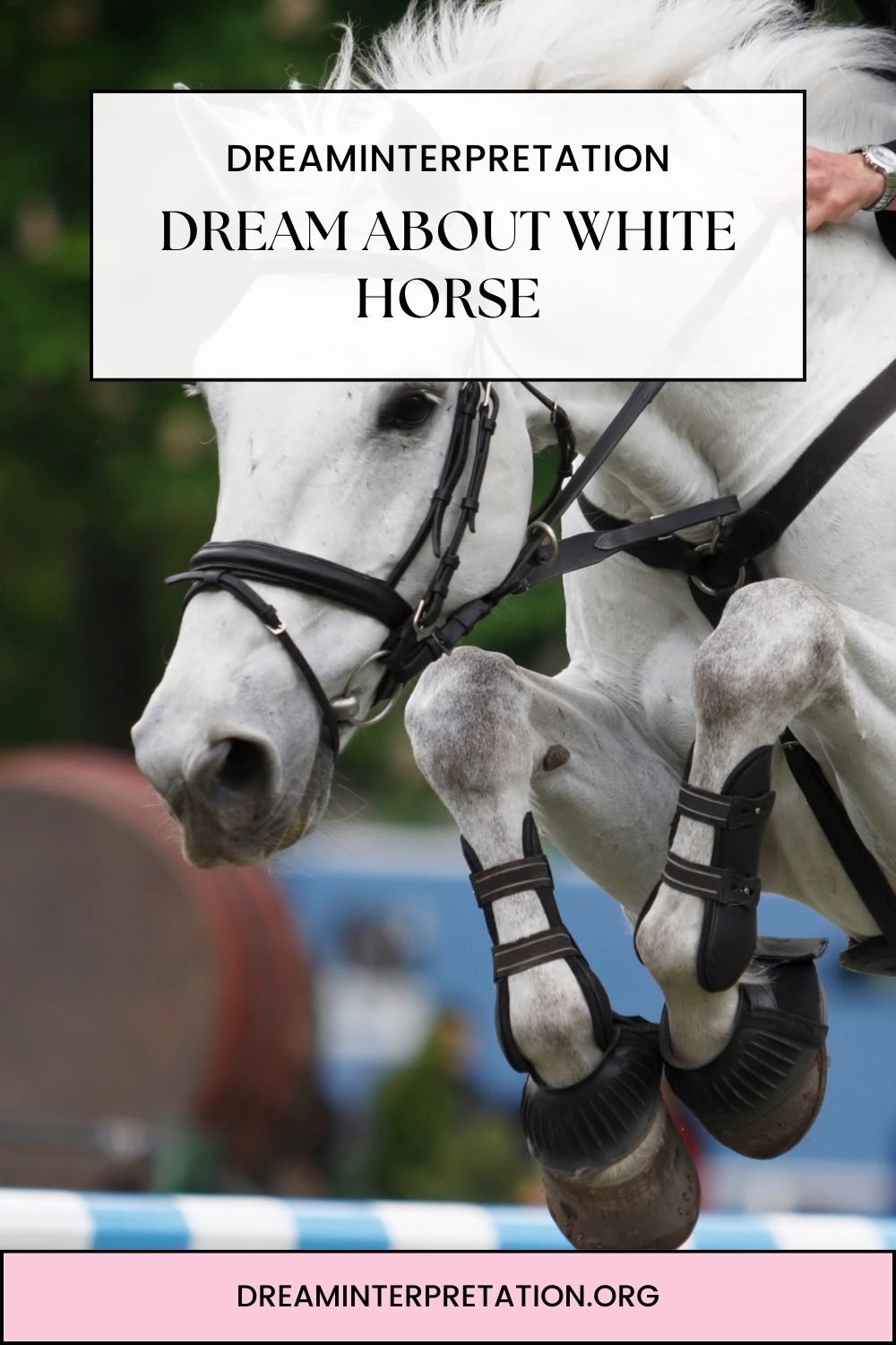 Dream About White Horse pin