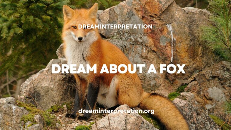 Dream About a Fox? (Interpretation & Spiritual Meaning)