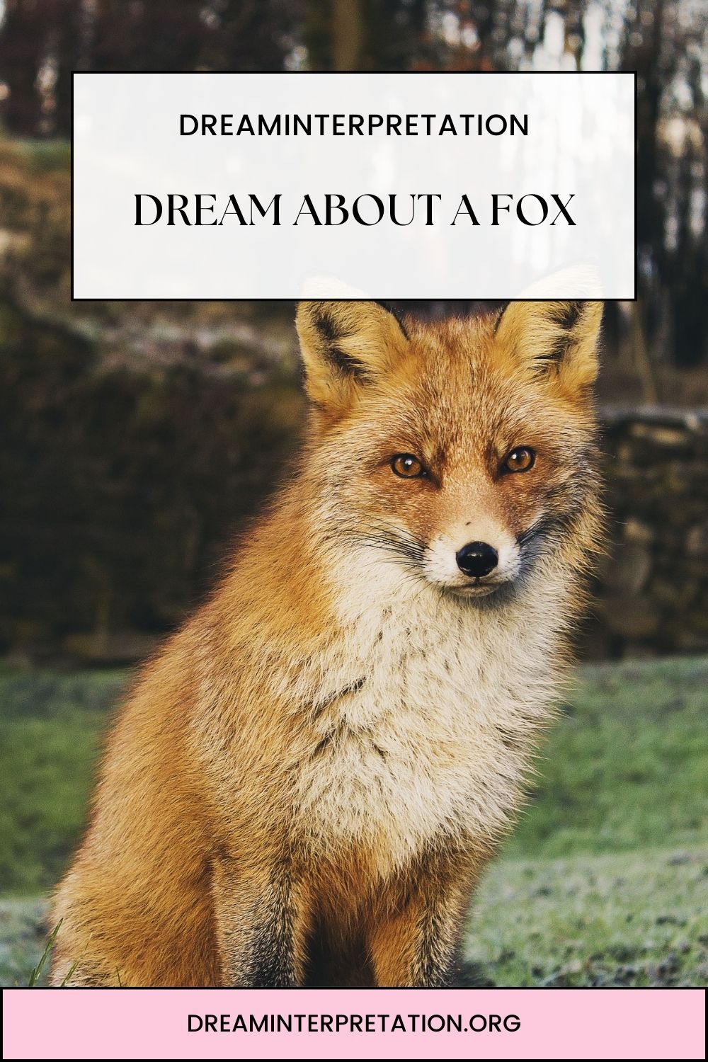 Dream About a Fox pin