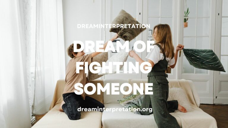 Dream Of Fighting Someone? (Interpretation & Spiritual Meaning)