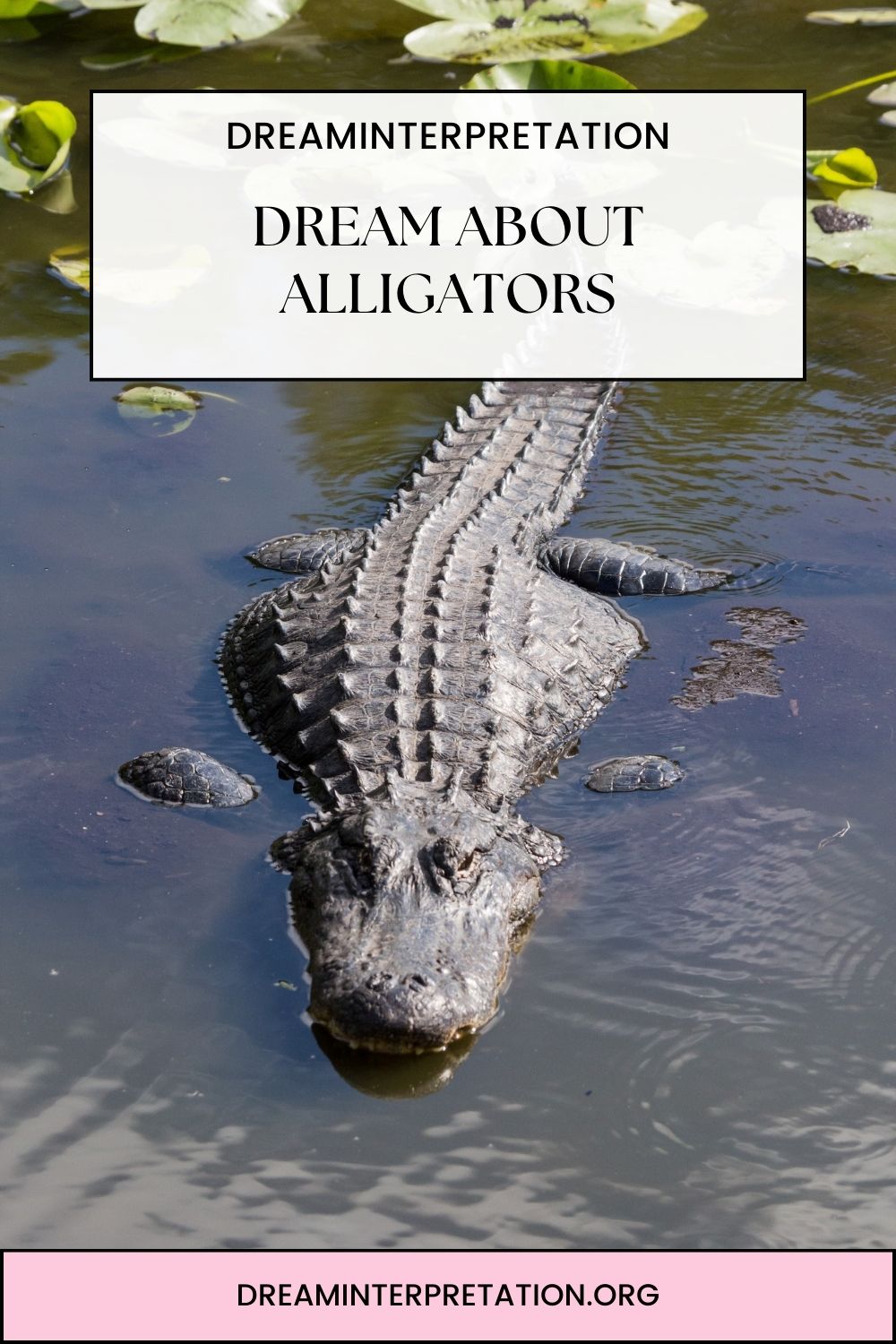 Dream About Alligators pin 1