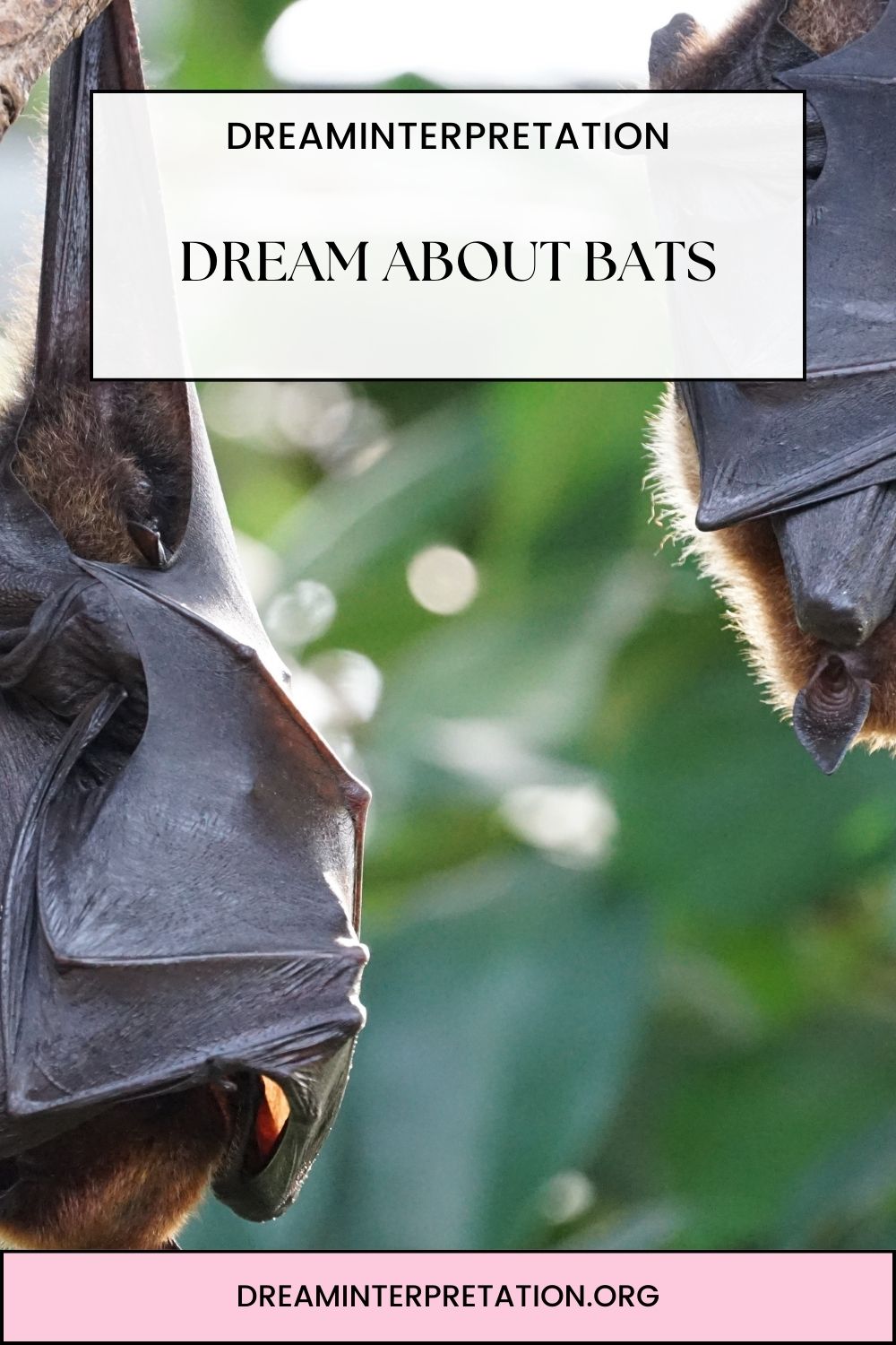 Dream About Bats pin 1