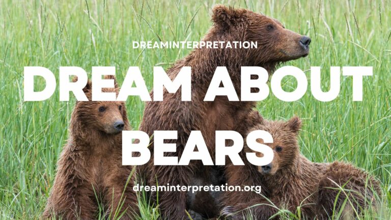 Dream About Bear? (Interpretation & Spiritual Meaning)