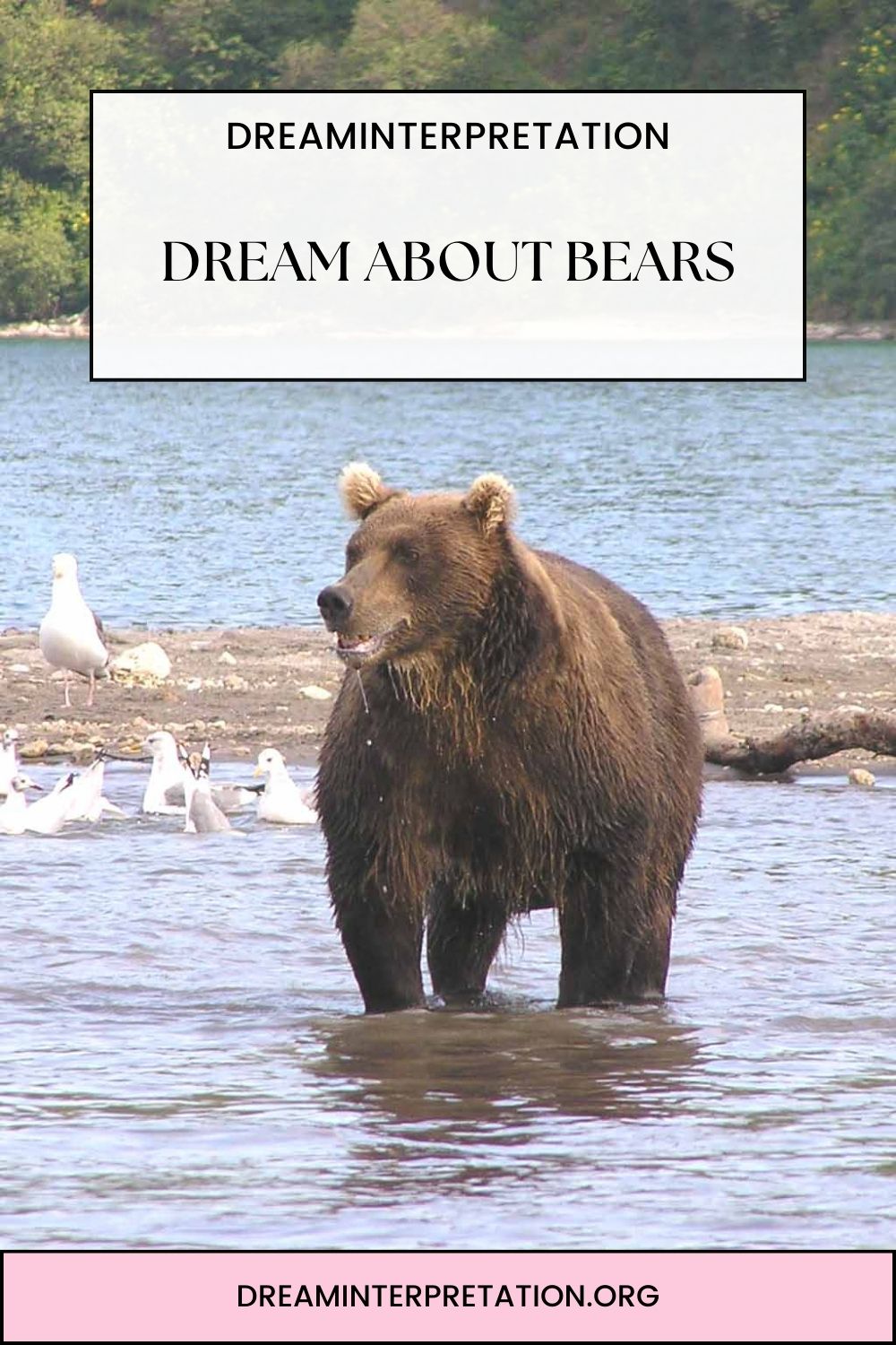 Dream About Bears pin 1