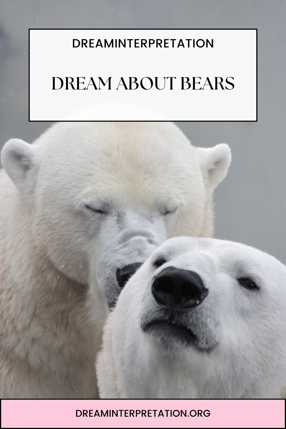 Dream About Bears pin 2