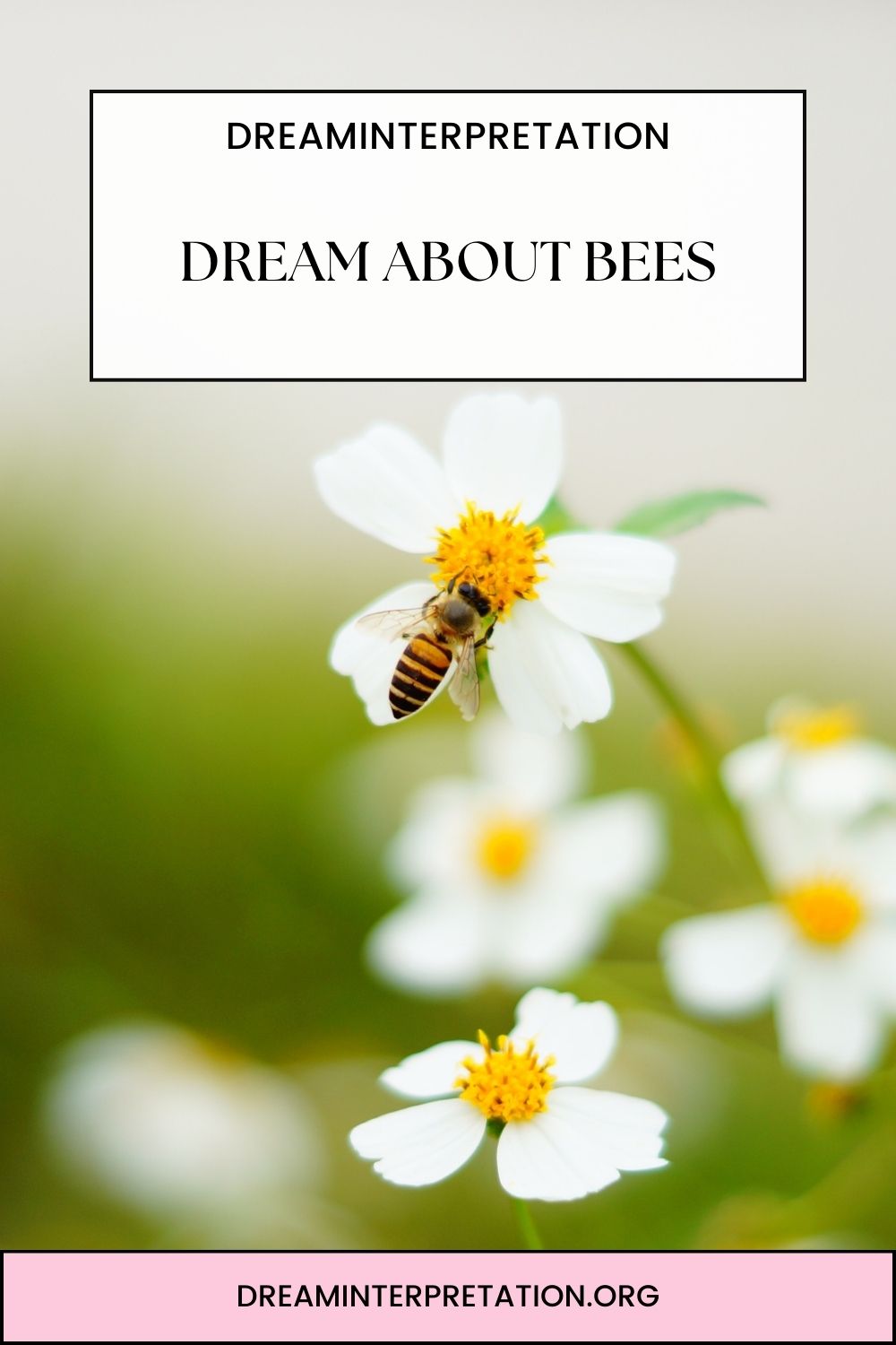 Dream About Bees pin