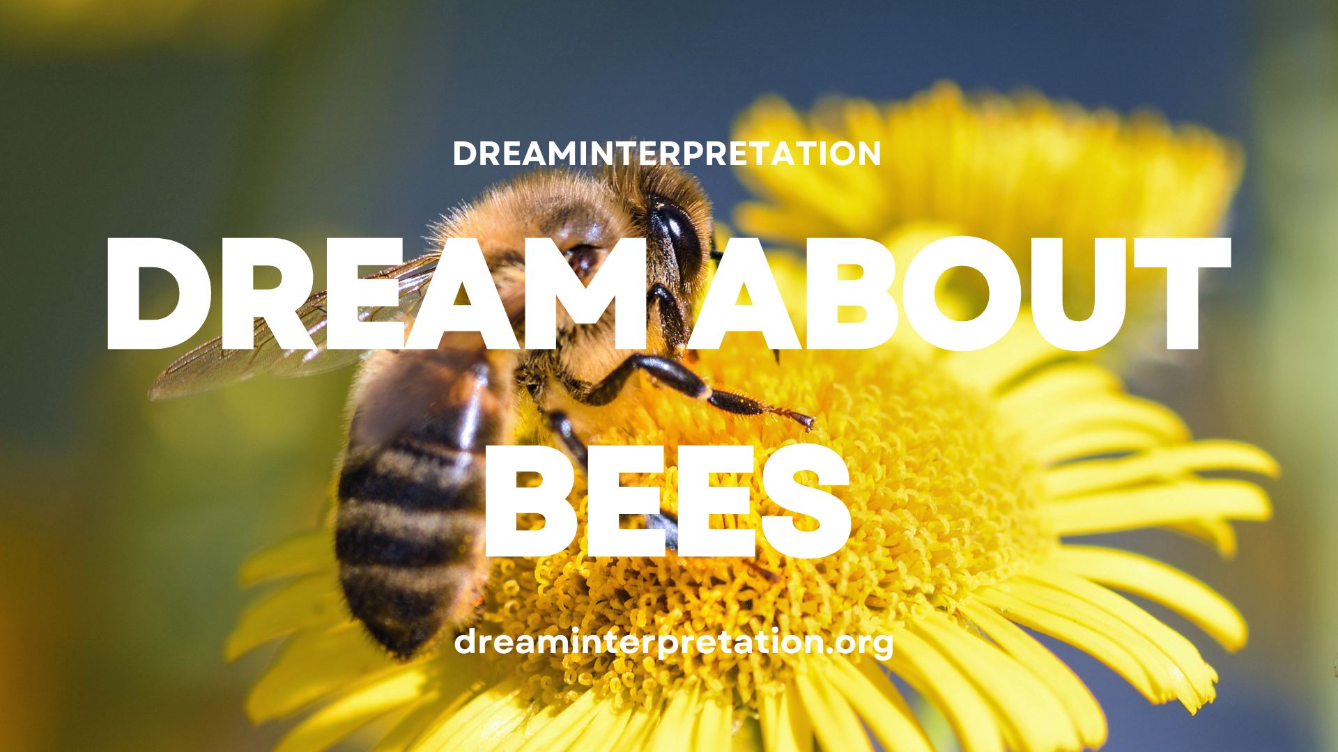 Dream About Bees