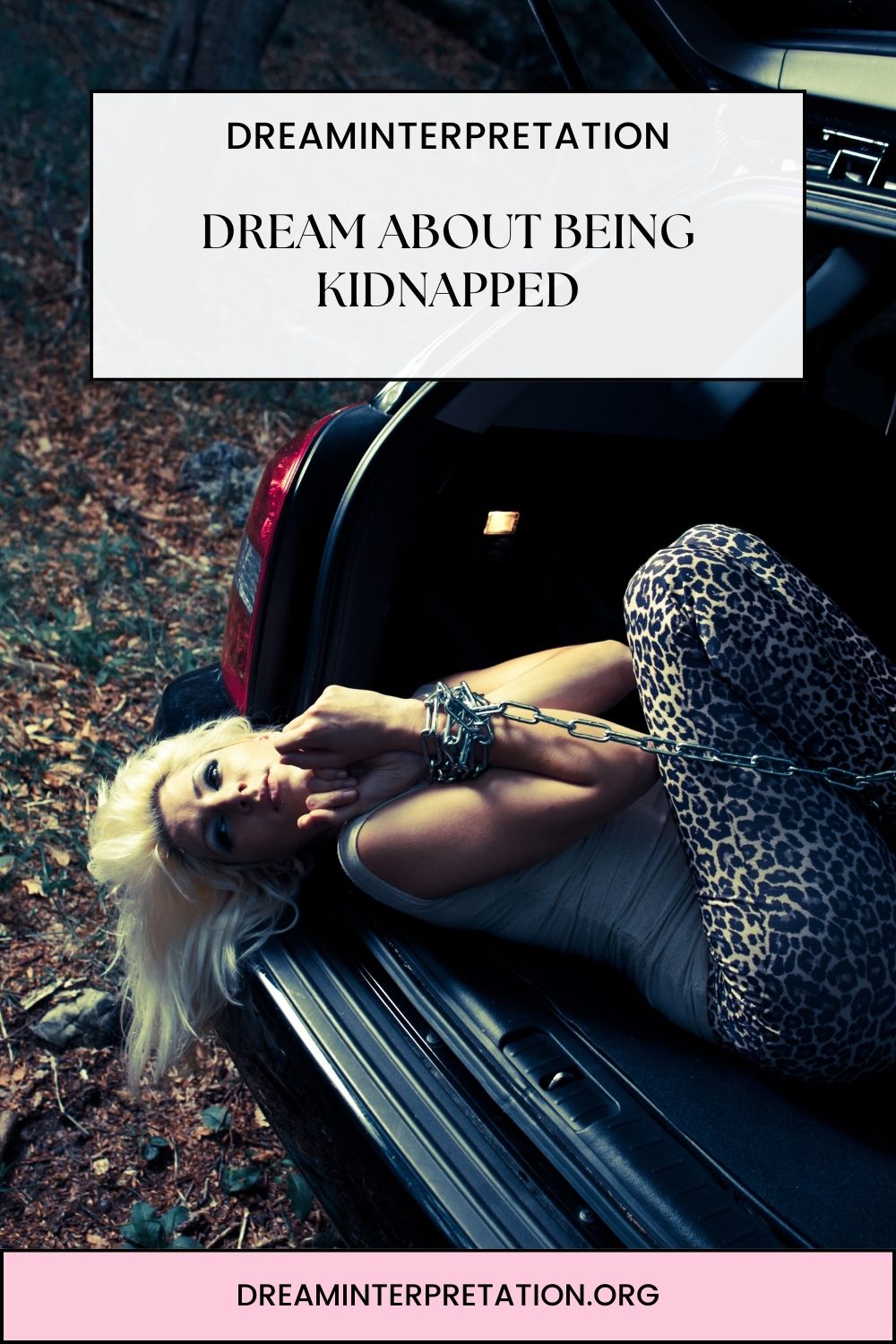 Dream About Being Kidnapped pin 1