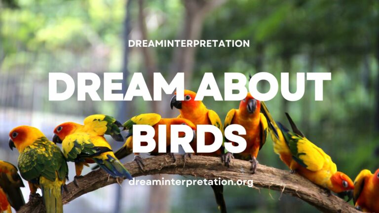 Dream About Birds? (Interpretation & Spiritual Meaning)