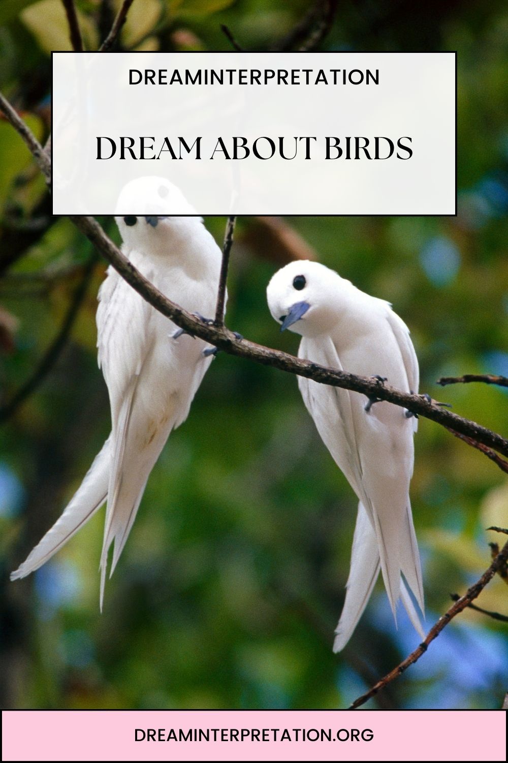 Dream About Birds pin 1