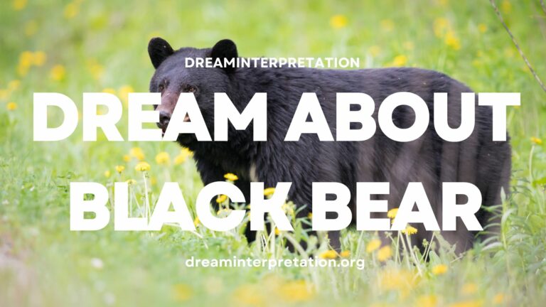 Dream About Black Bear? (Interpretation & Spiritual Meaning)