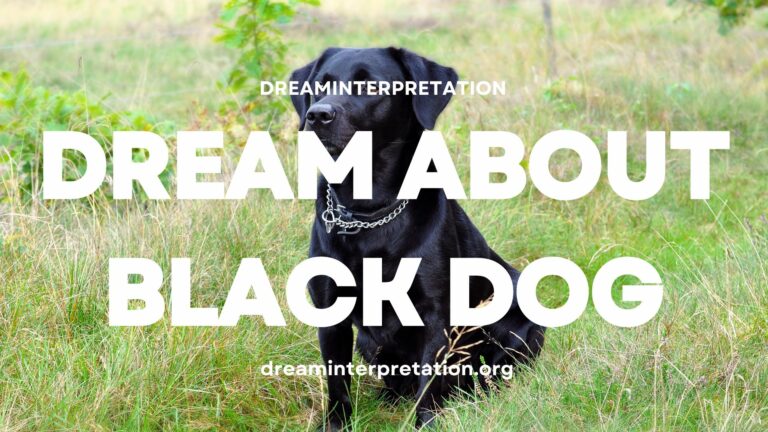 Dream About Black Dog? (Interpretation & Spiritual Meaning)
