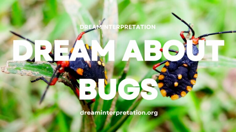 Dream About Bugs? (Interpretation & Spiritual Meaning)