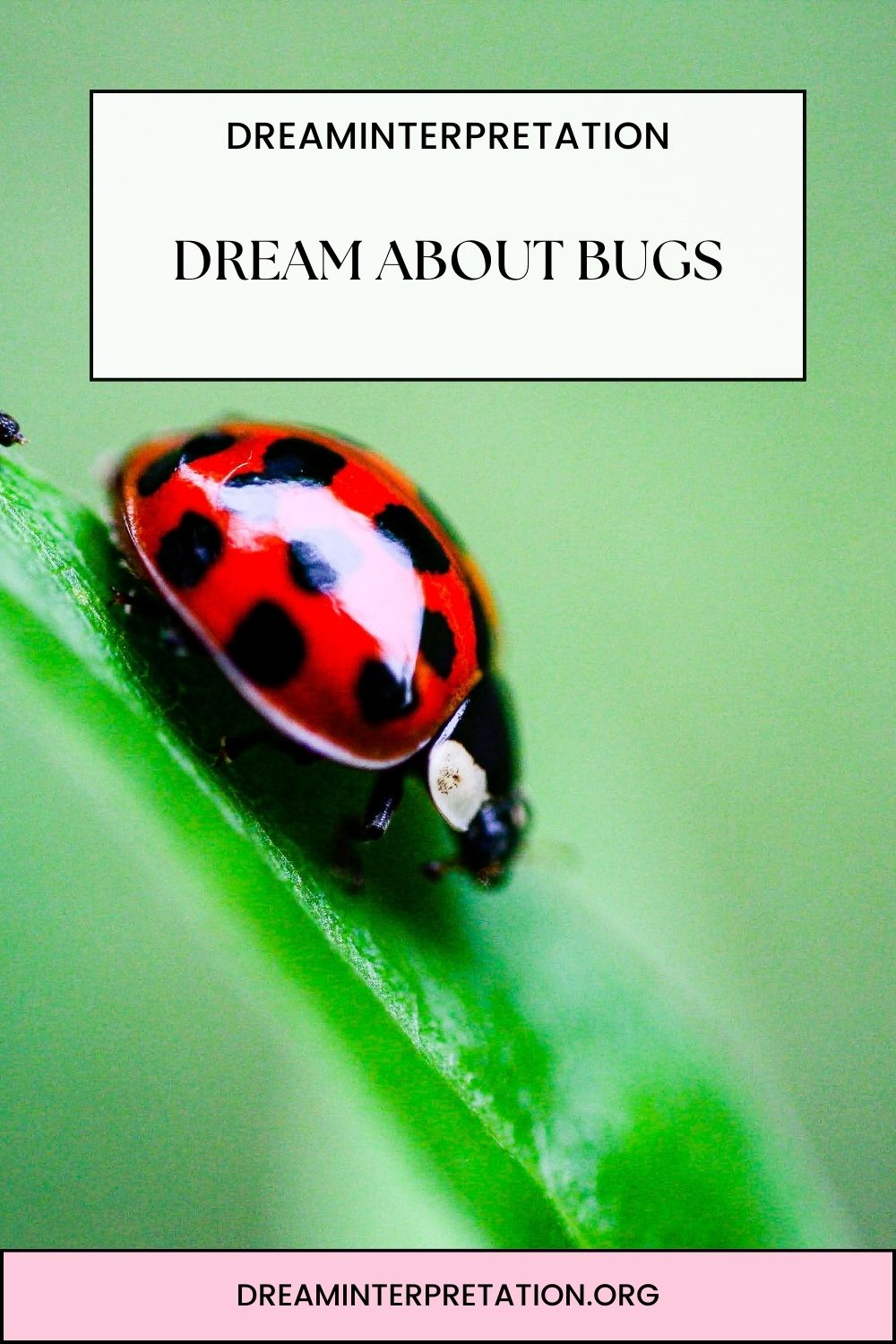 Dream About Bugs pin 1
