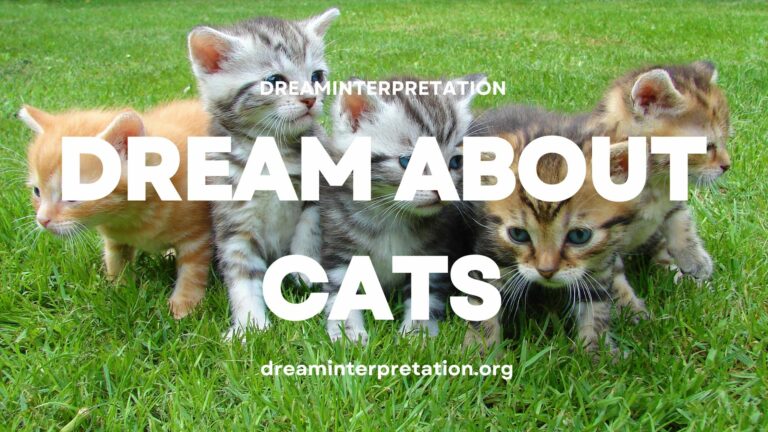 Dream About Cats? (Interpretation & Spiritual Meaning)