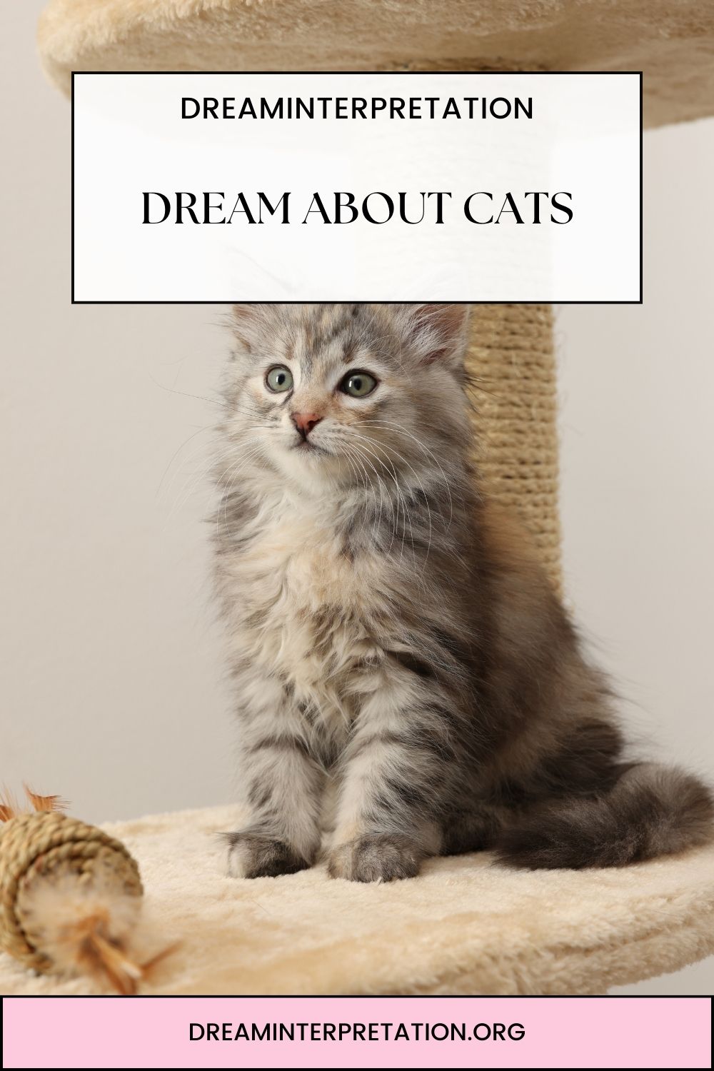 Dream About Cats pin
