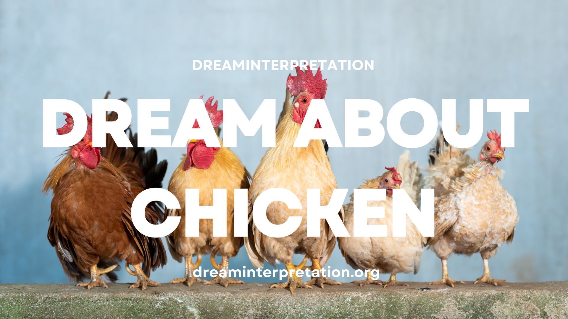 Dream About Chicken