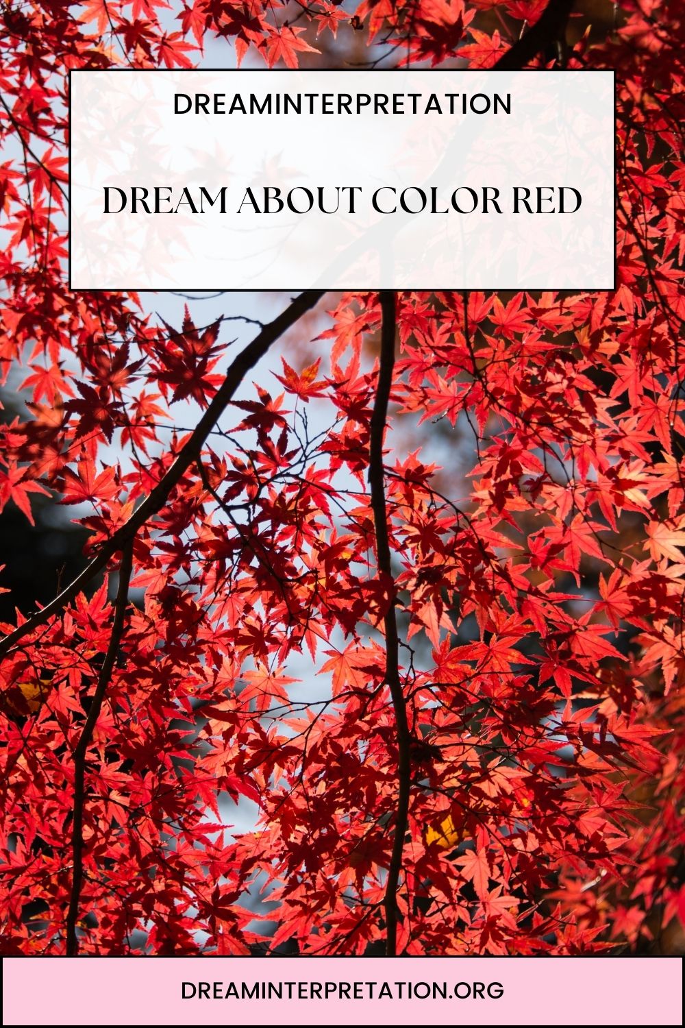 Dream About Color Red pin 1