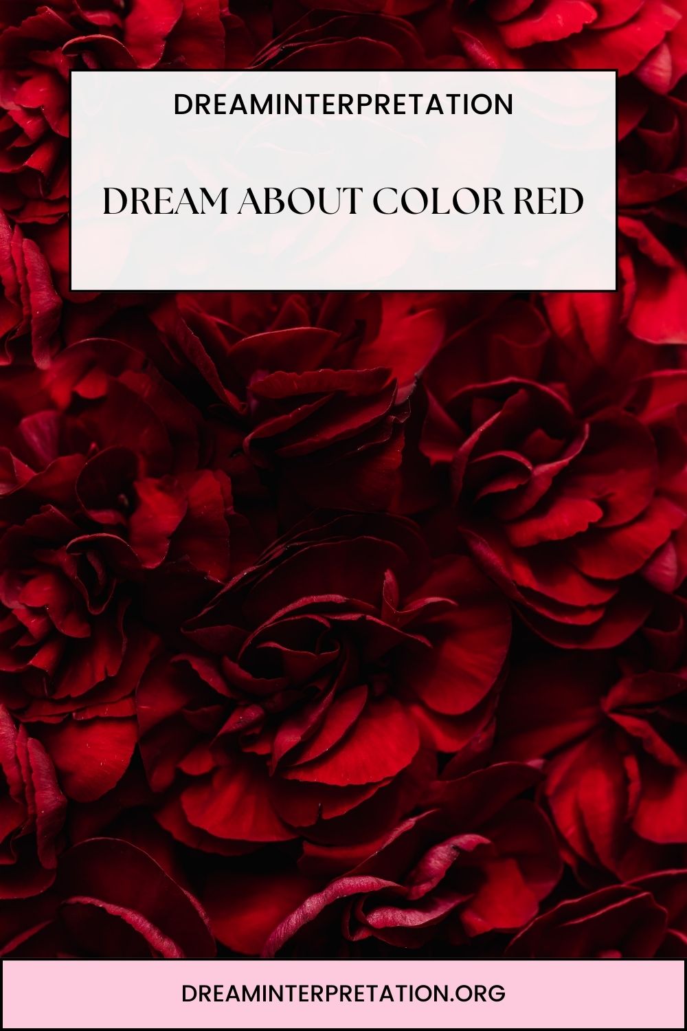 Dream About Color Red pin 2
