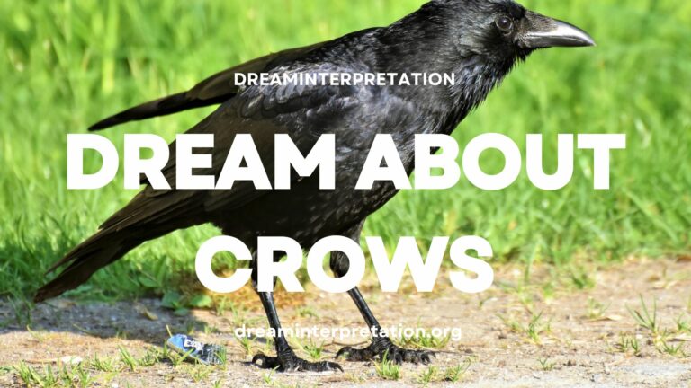 Dream About Crows? (Interpretation & Spiritual Meaning)