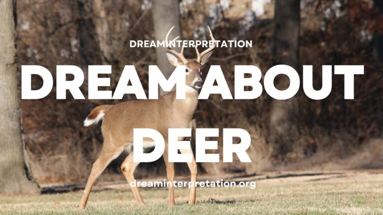 Dream About Deer? (Interpretation & Spiritual Meaning)