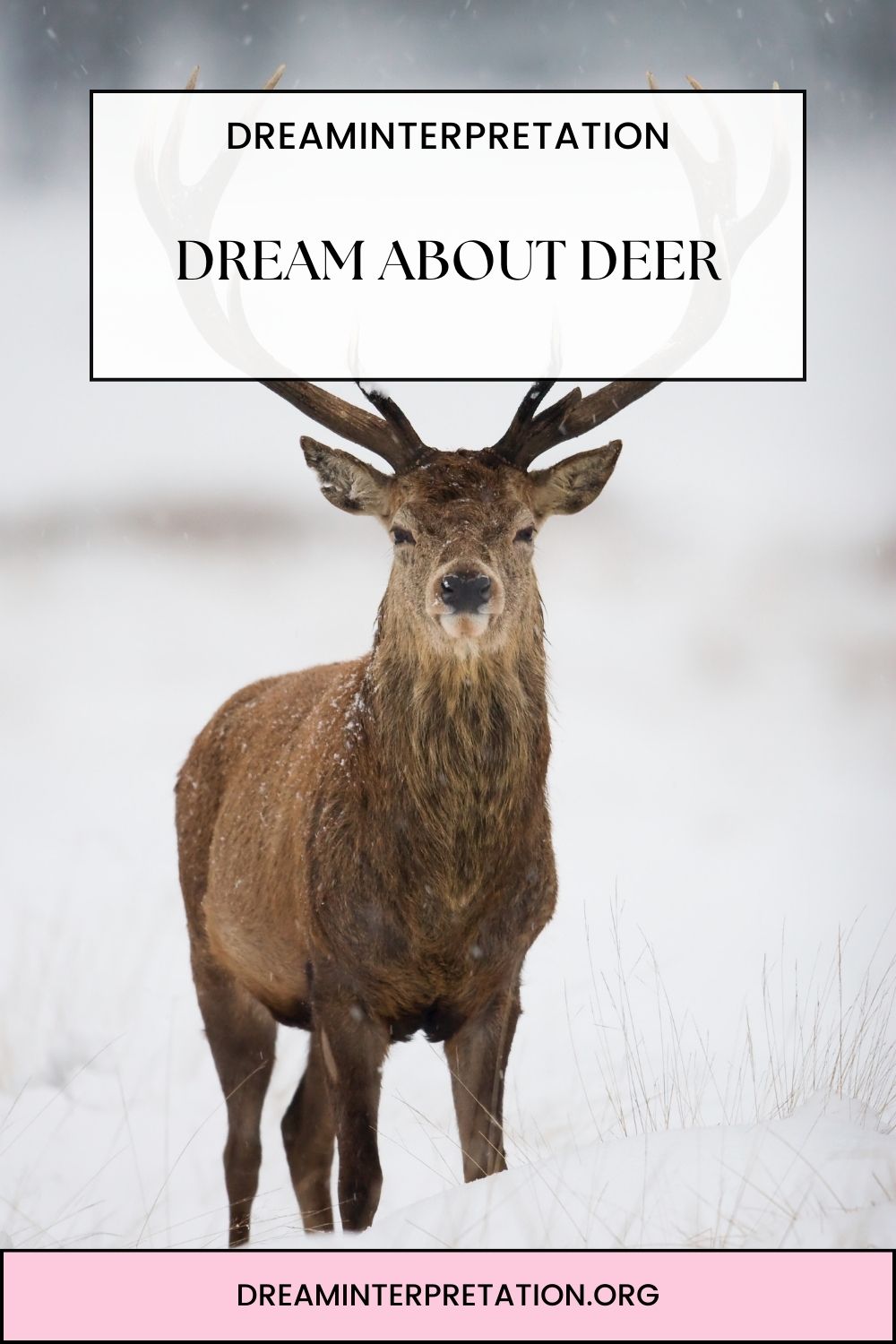 Dream About Deer pin 2