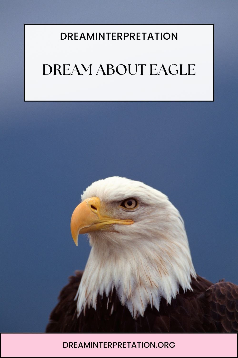 Dream About Eagle pin 2