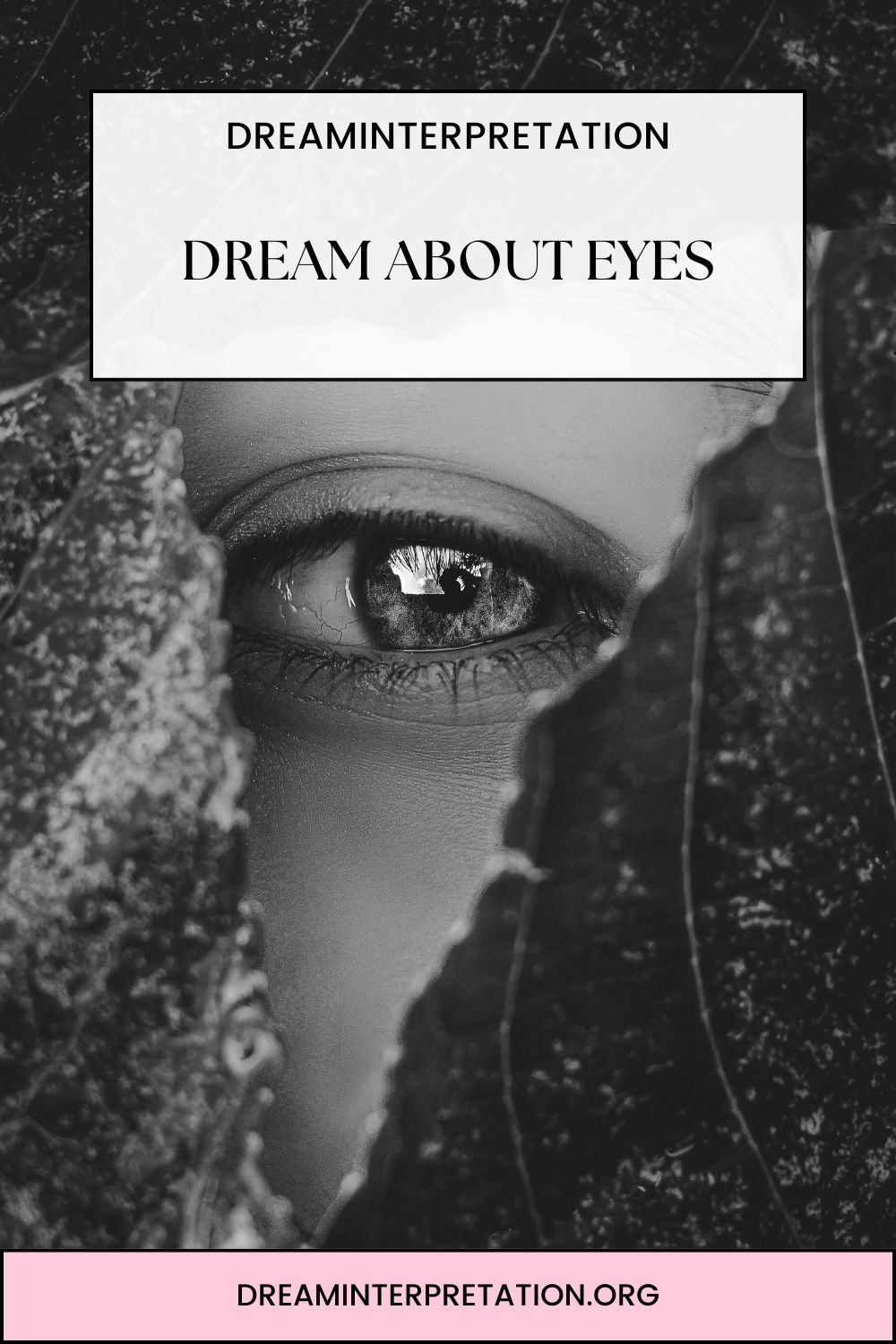 Dream About Eyes pin 1
