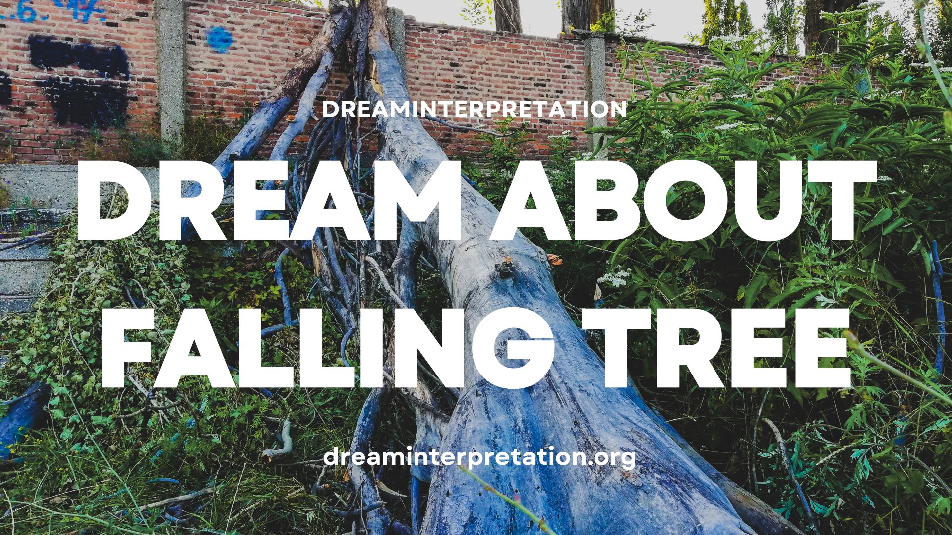 Dream About Falling Tree