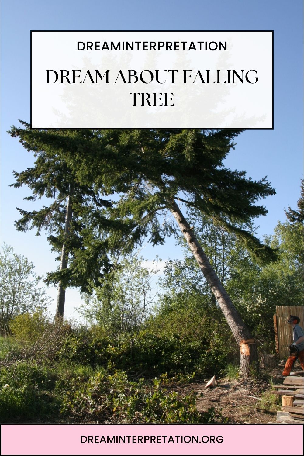 Dream About Falling Tree pin 