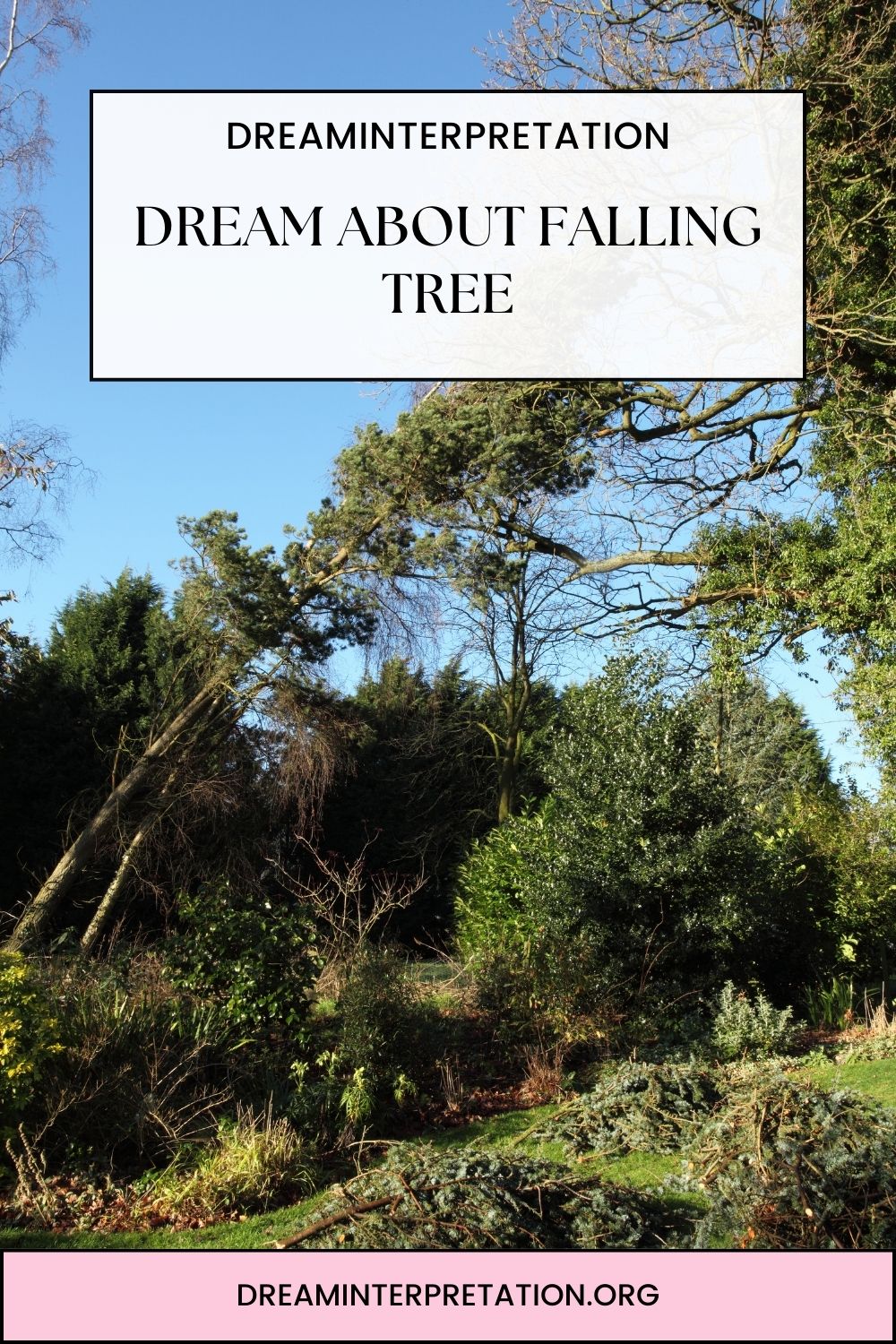 Dream About Falling Tree pin 