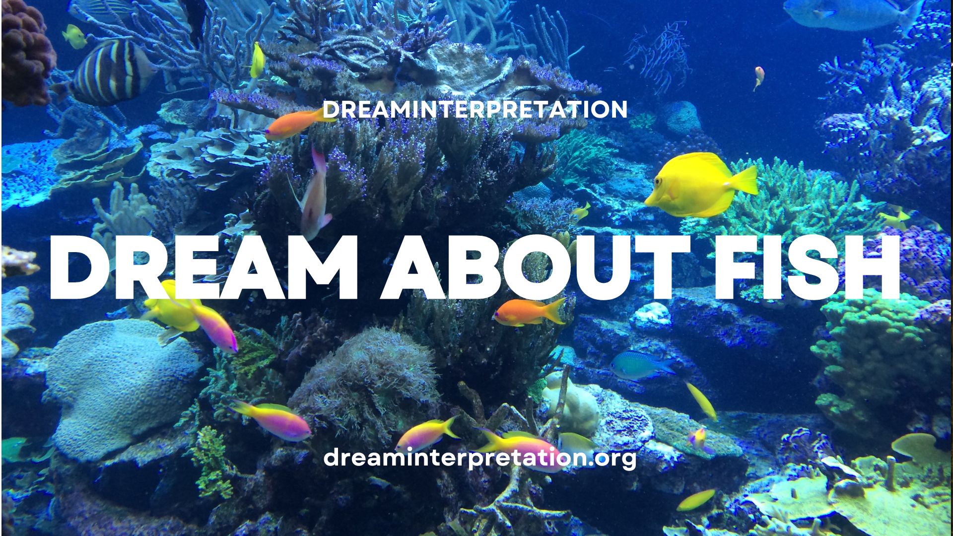 Dream About Fish (Interpretation & Spiritual Meaning)