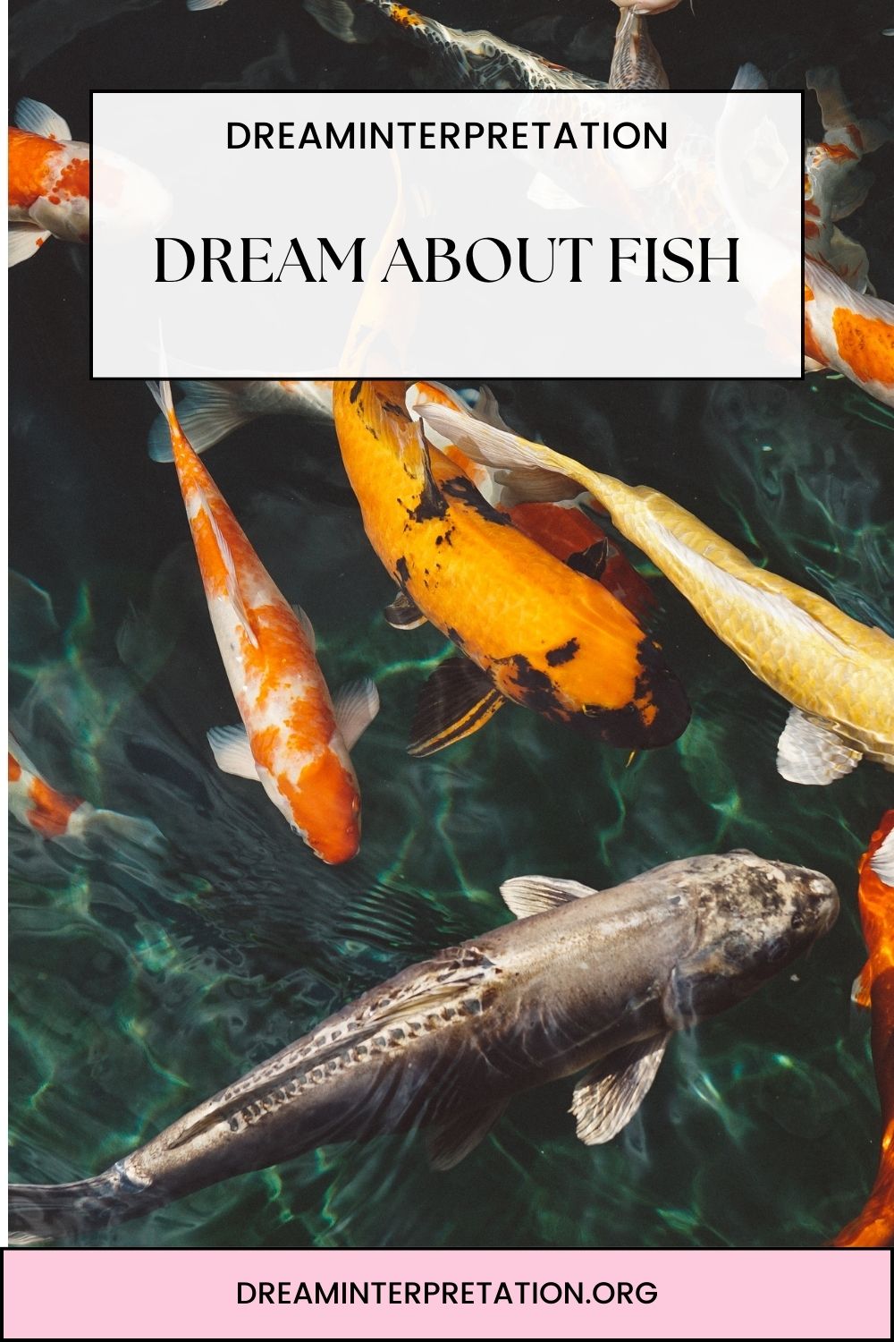 Dream About Fish pin 2