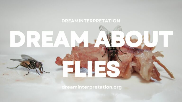 Dream About Flies? (Interpretation & Spiritual Meaning)