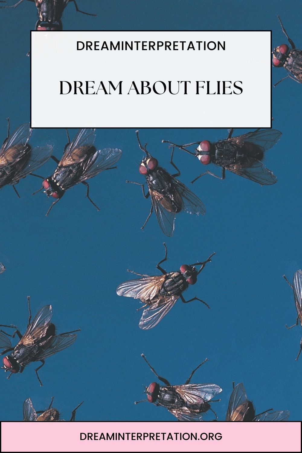 Dream About Flies pin 1