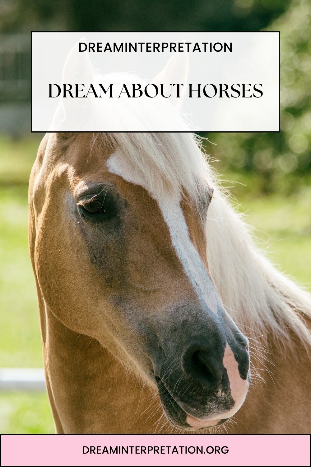 Dream About Horses pin 1