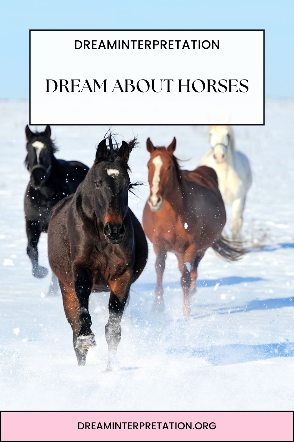 Dream About Horses pin 2