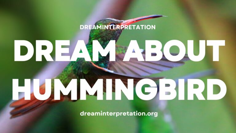 Dream About Hummingbird? (Interpretation & Spiritual Meaning)
