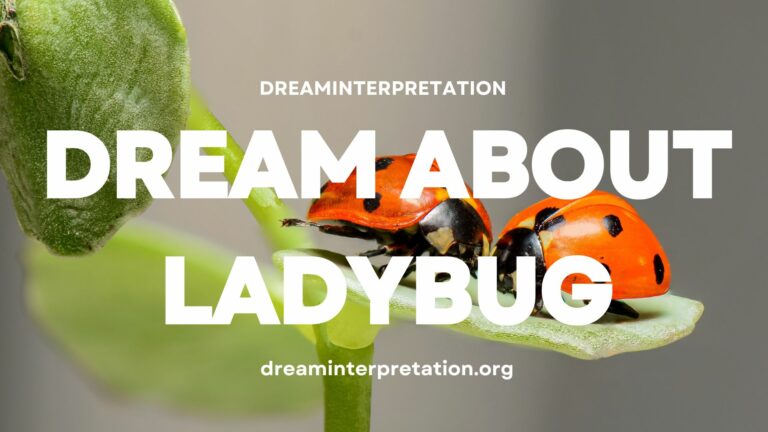 Dream About Ladybug? (Interpretation & Spiritual Meaning)