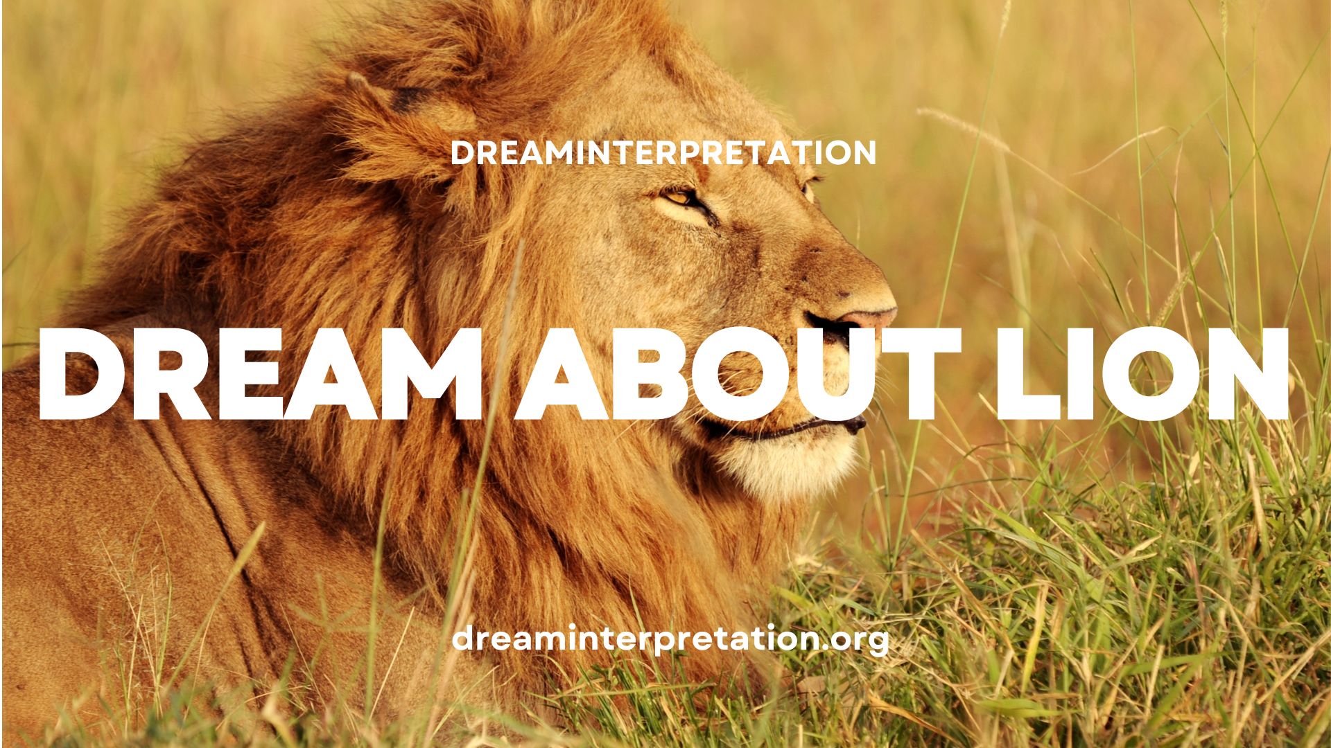 Dream About Lion? (Interpretation & Spiritual Meaning)