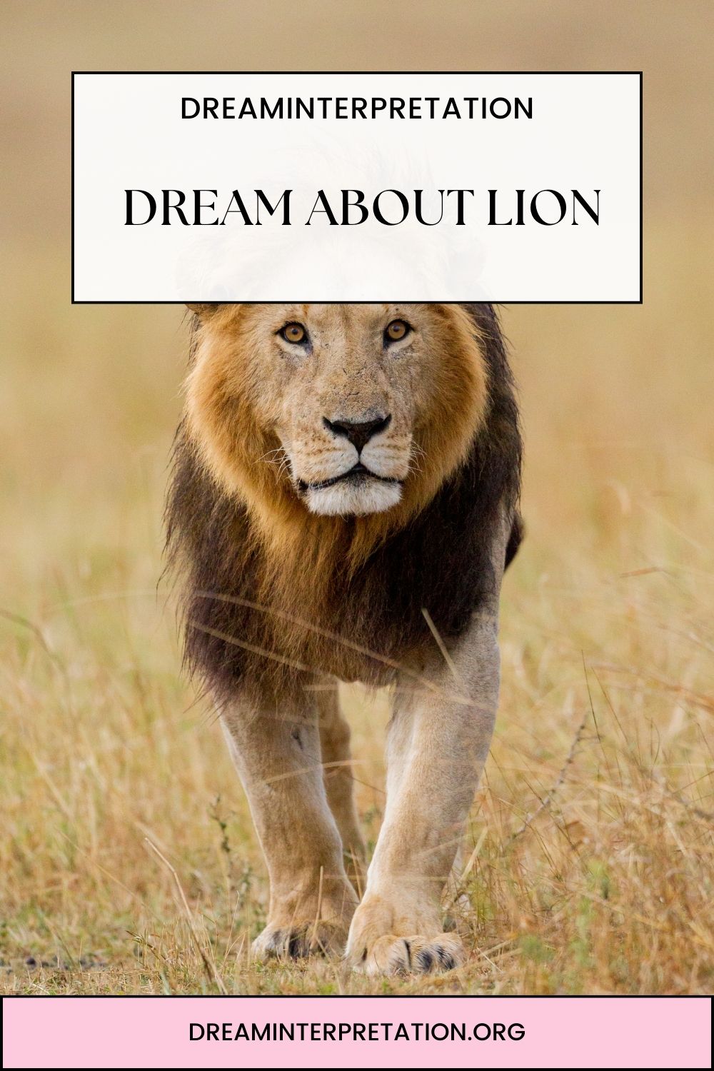 Dream About Lion pin 2