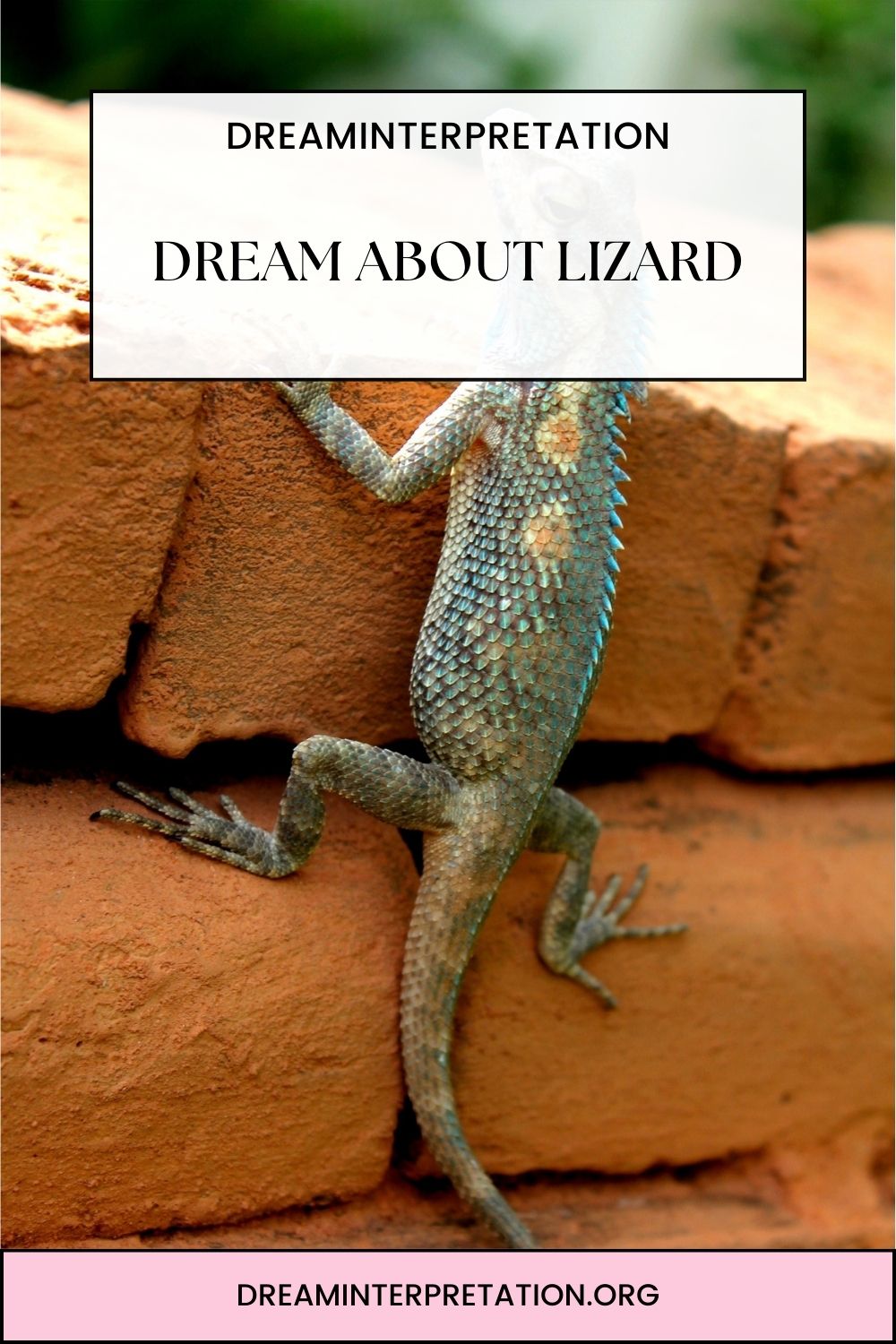 Dream About Lizard pin1
