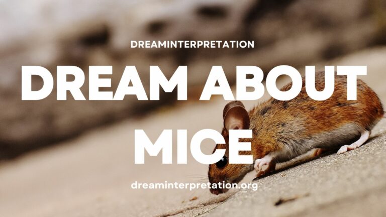 Dream About Mice? (Interpretation & Spiritual Meaning)