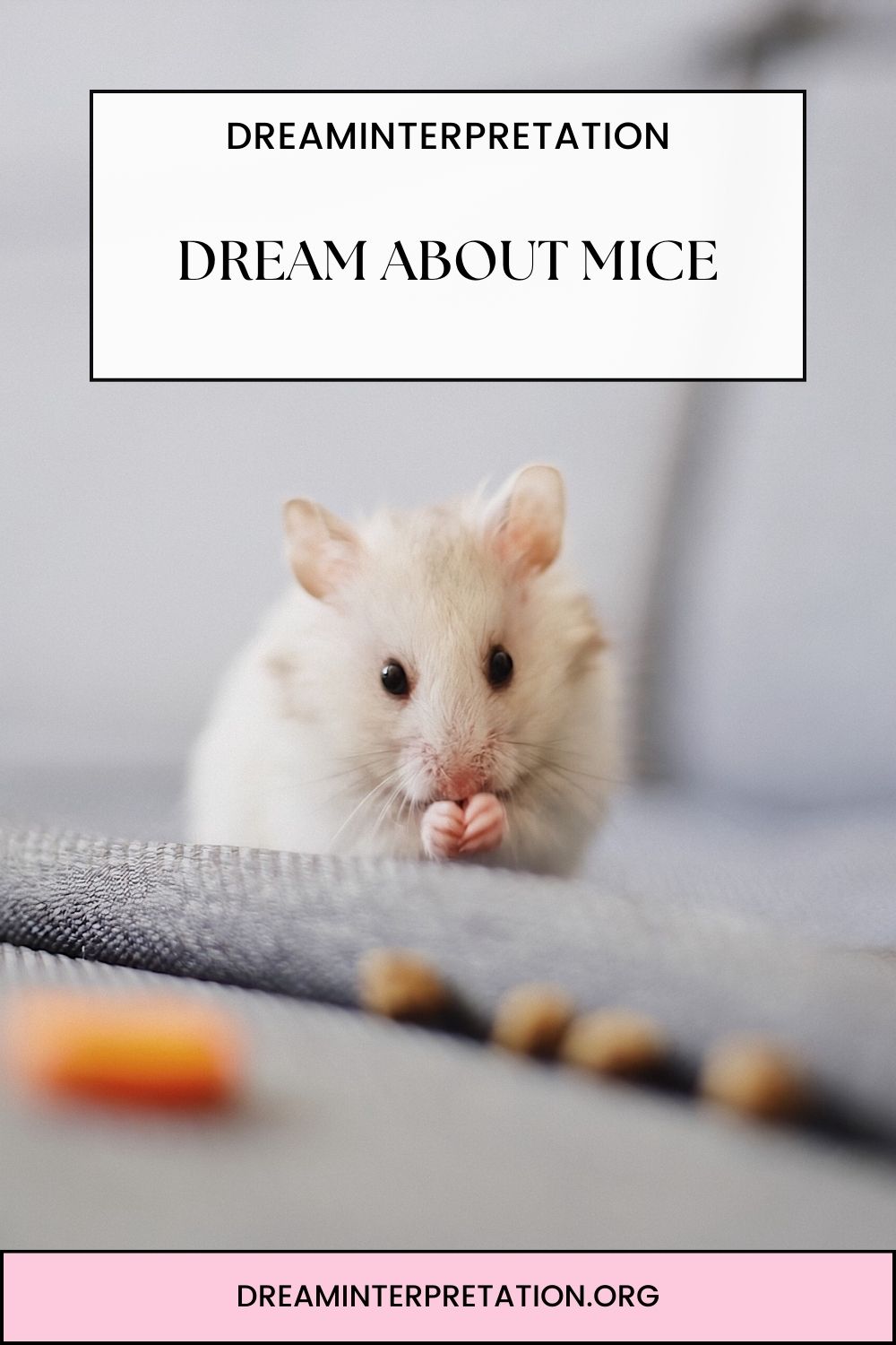 Dream About Mice pin 1