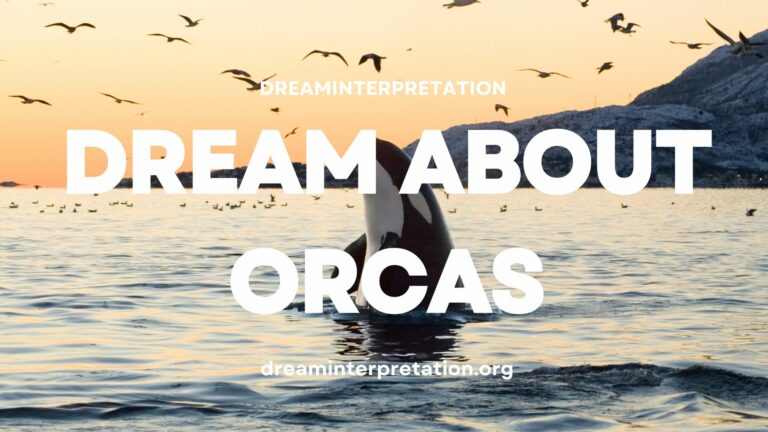 Dream About Orcas? (Interpretation & Spiritual Meaning)
