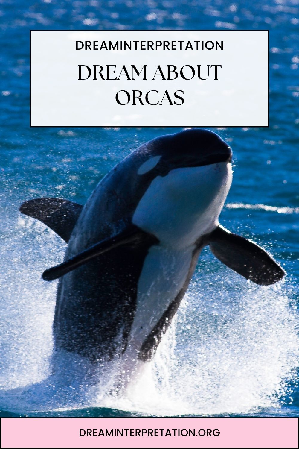 Dream About Orcas pin1