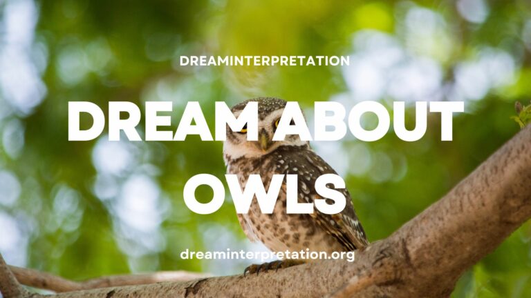 Dream About Owl? (Interpretation & Spiritual Meaning)